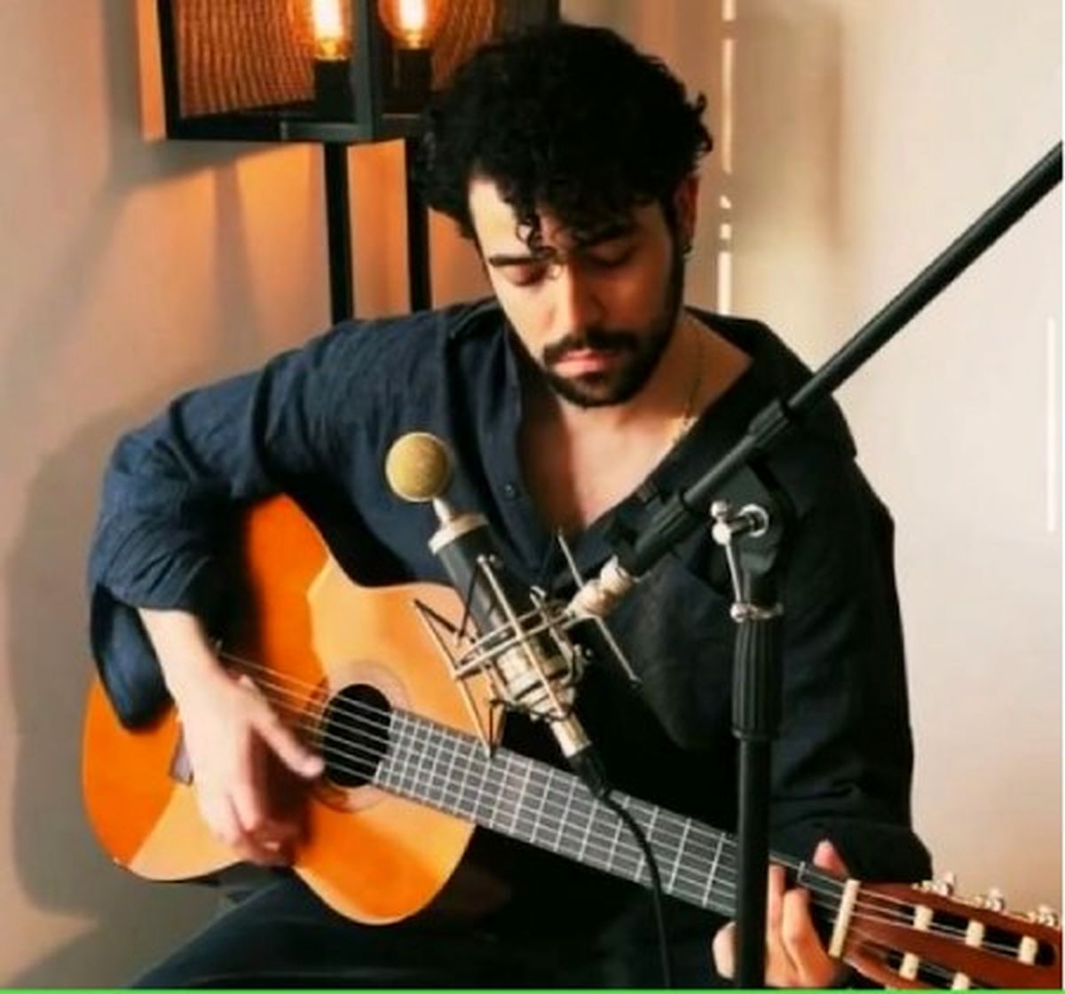 بیوگرافی، حواشی عکس های جدید شروین حاجی پور و نامزد معروفش - تصویر شاخص