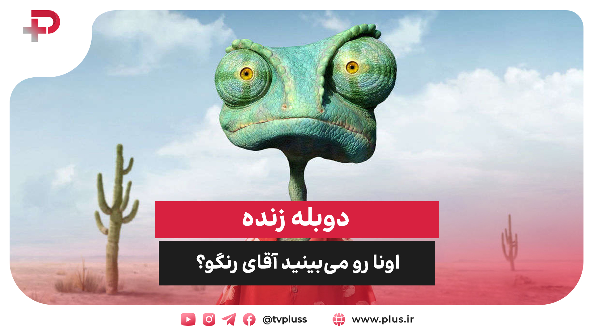 اونا رو می‌بینید آقای رنگو
