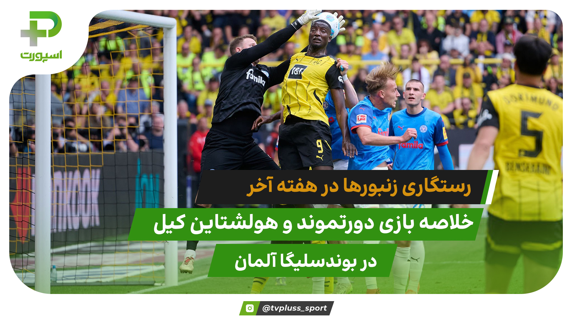 رستگاری زنبورها در هفته آخر؛ دورتموند 3 – هولشتاین کیل 0 - تصویر شاخص
