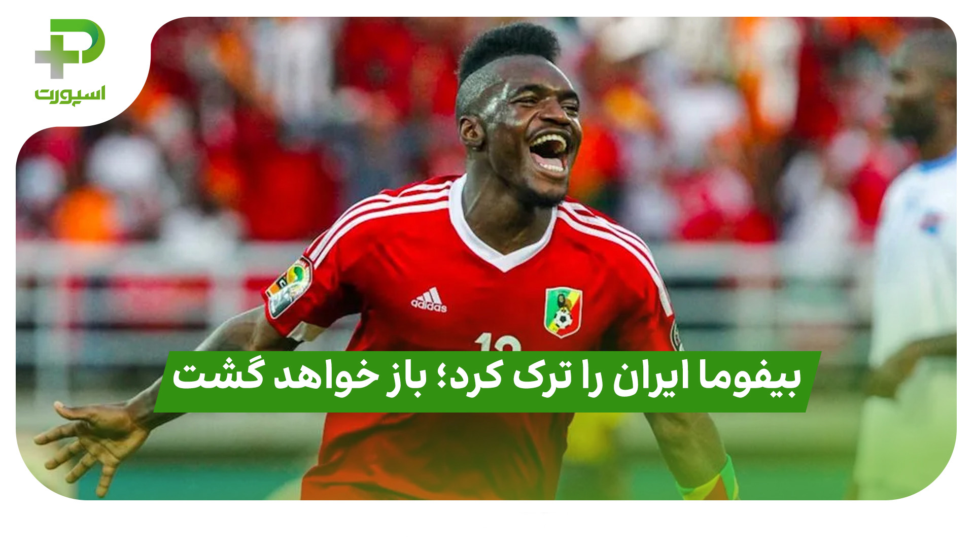 بیفوما پرسپولیس