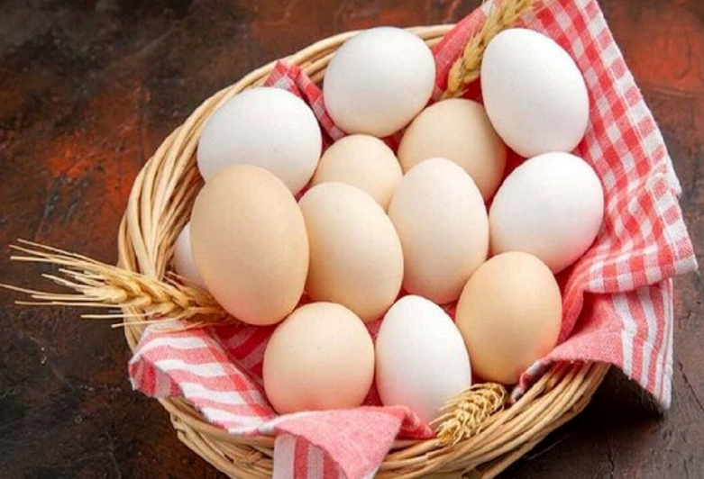 آیا مصرف زرده تخم مرغ در کهنسالی مضر است؟ - تصویر شاخص