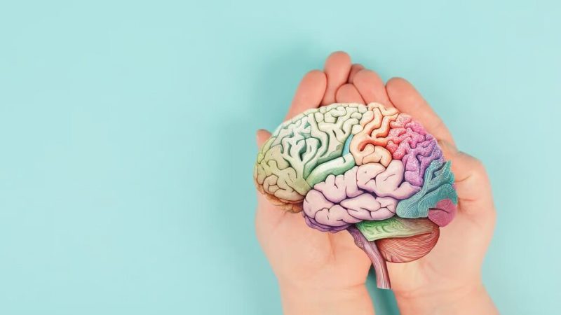 این میوه را بخورید تا هرگز آلزایمر نگیرید