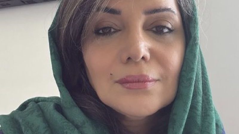 الهام پاوهنژاد در پی قطع مکرر برق به سیم آخر زد