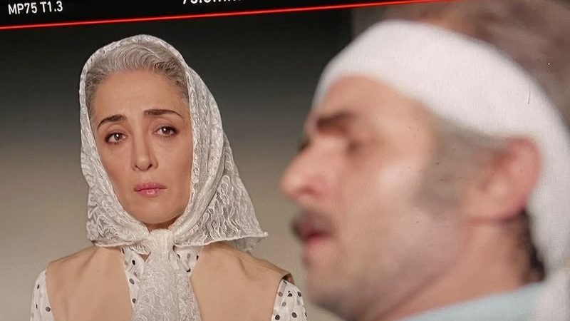 دلنوشته عاشقانه پانتهآ پناهیها برای بابک حمیدیان سوژه شد