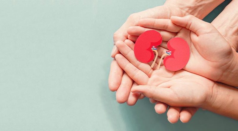 این 2 مورد قاتل و دشمن کلیه‌های شماست