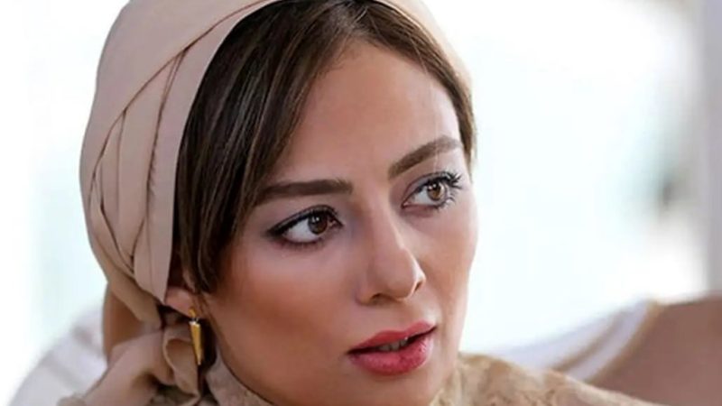 تصویری از تولد 5 سالگی دختر منوچهر هادی و یکتا ناصر در هواپیما