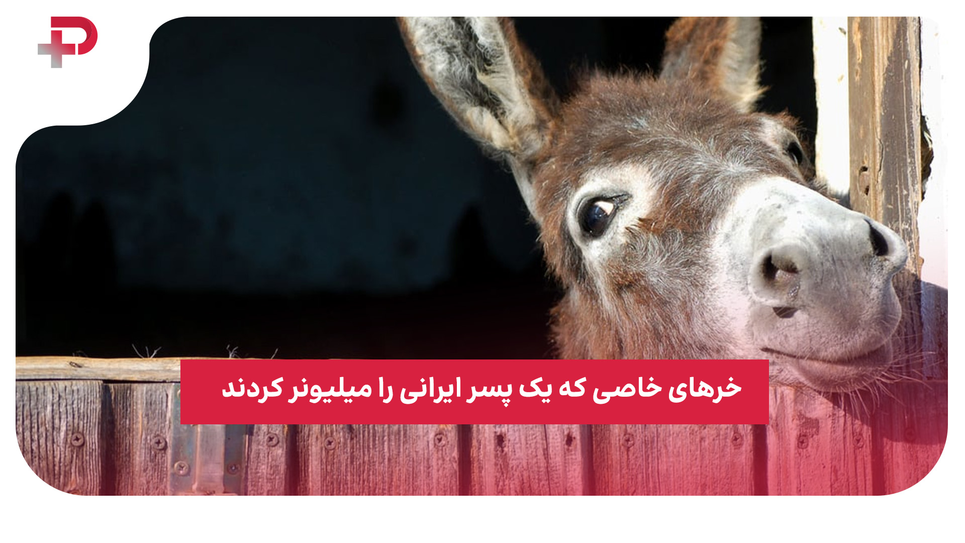 خر میلیونر