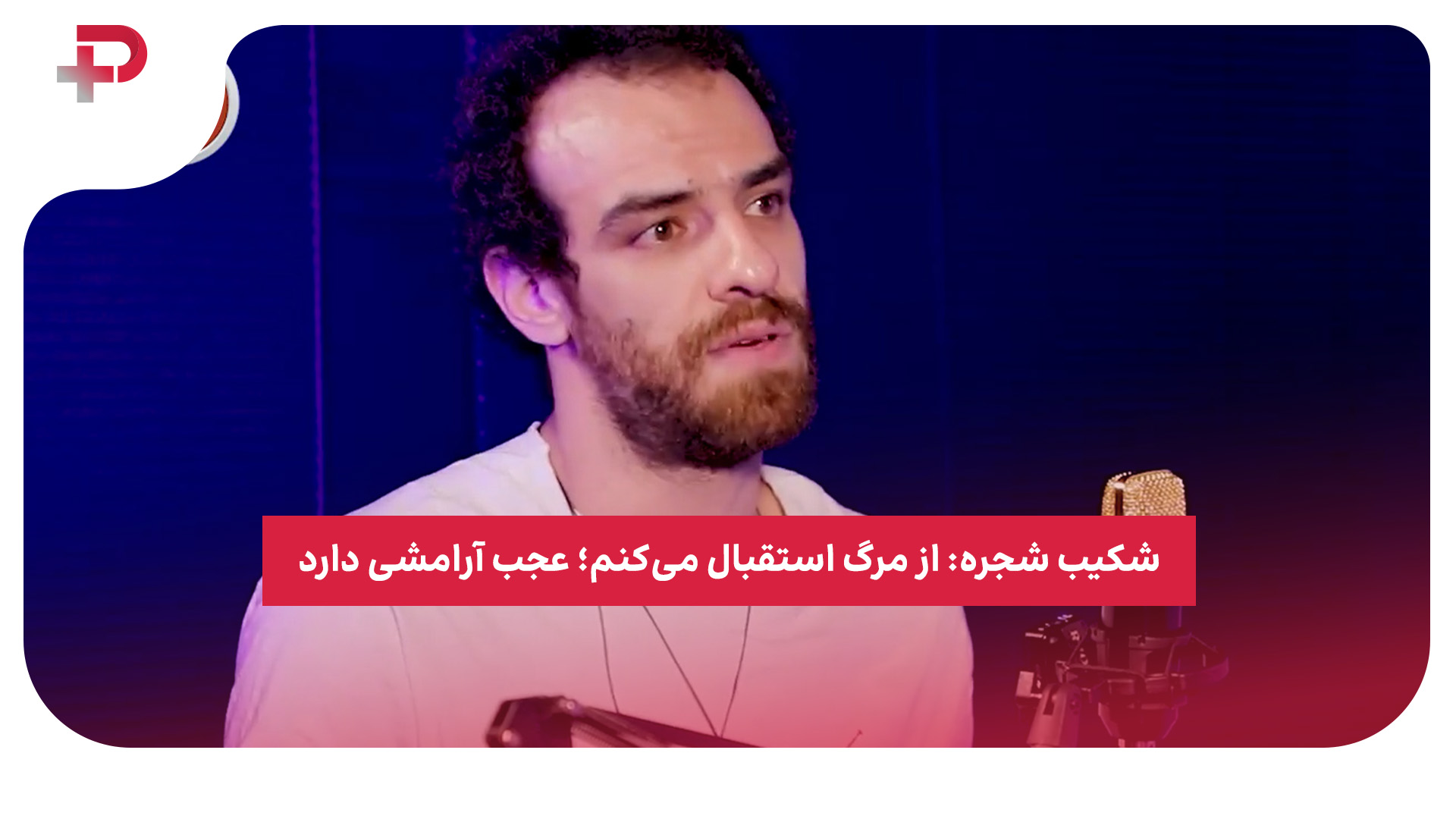 شکیب شجره