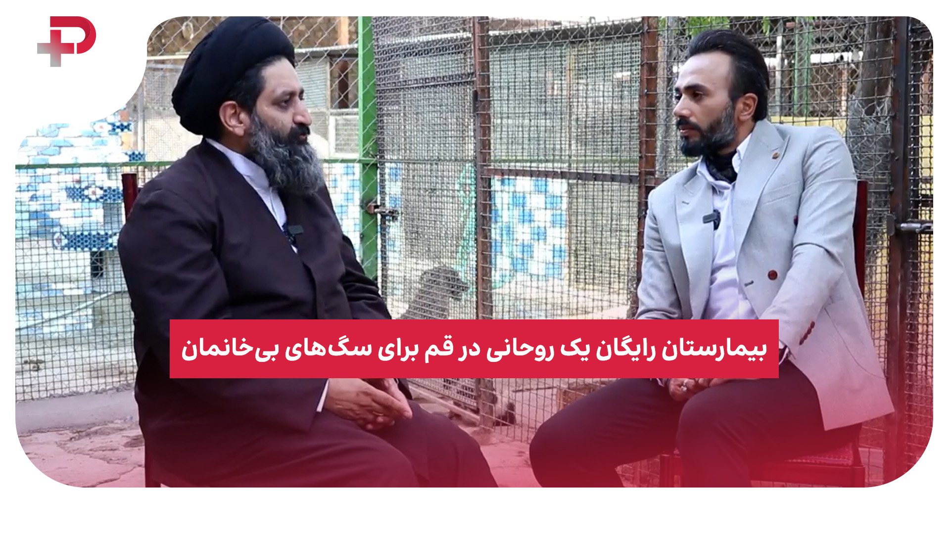 روحانی قم سگ