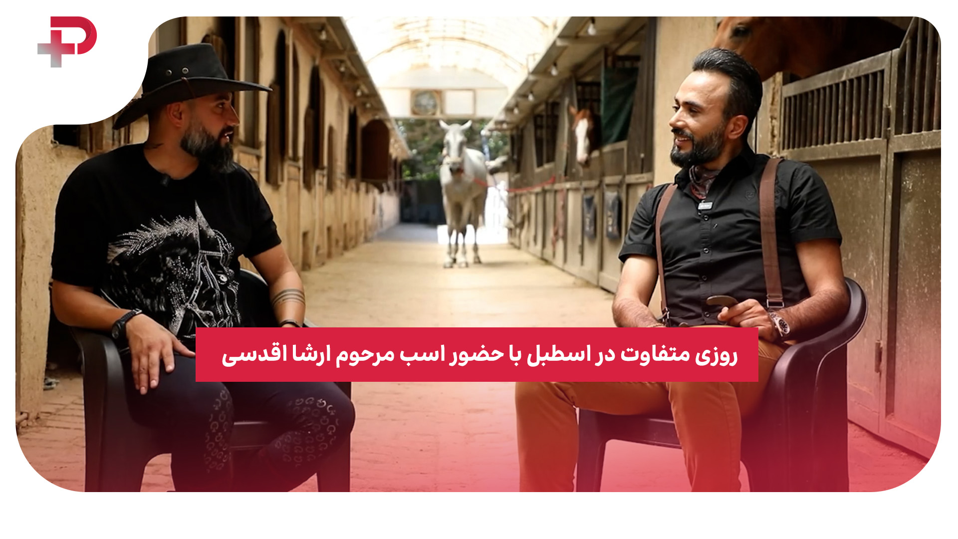 ارشا اقدسی اسب