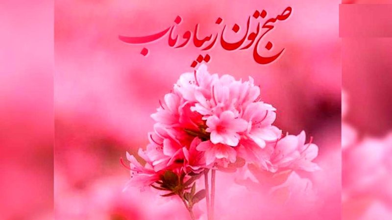 فال روزانه پنجشنبه یک آبان 1404 را بخوانید