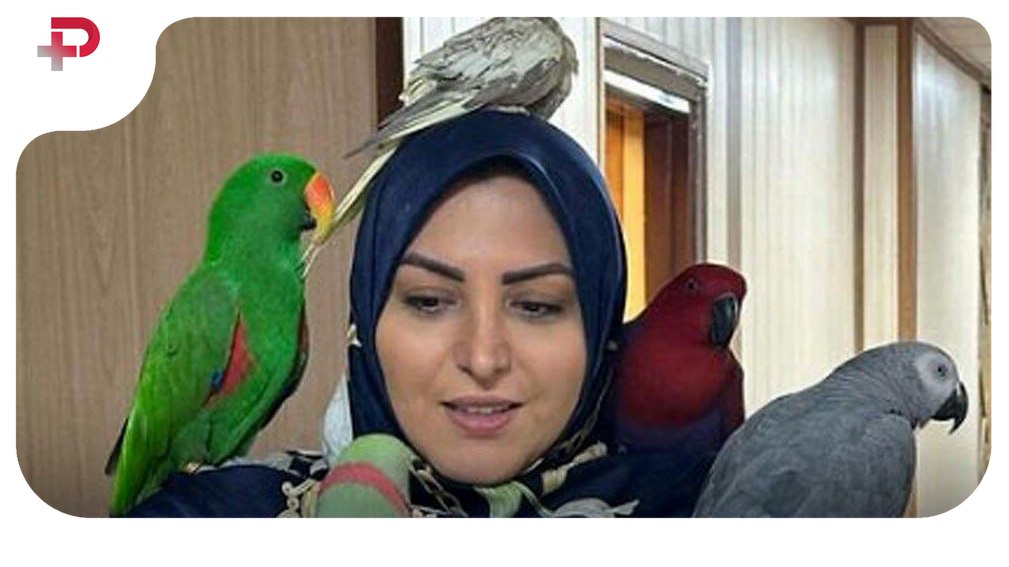 تیپ مجلسی و جذاب المیرا شریفی‌مقدم - تصویر شاخص