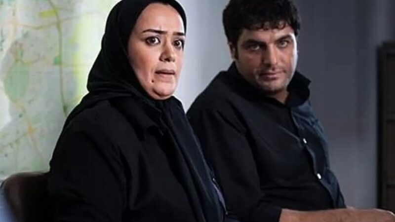 عکس| الهام چرخنده در حرم حضرت معصومه (س) / خانم بازیگر خادم بارگاه کریمه اهل بیت شد!