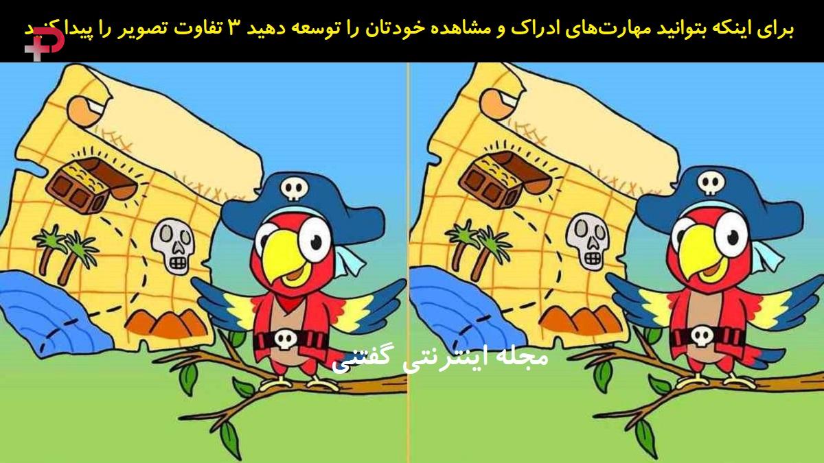 تفاوت تصویری طوطی دزد دریایی