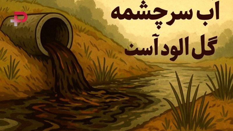 منبع حیران‌کننده ضرب المثل آب از سرچشمه گل آلود است را می دانید؟
