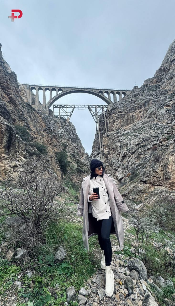 فائزه