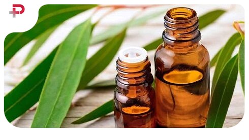 آبرسانی پوست با این ابرگیاه در دسترس