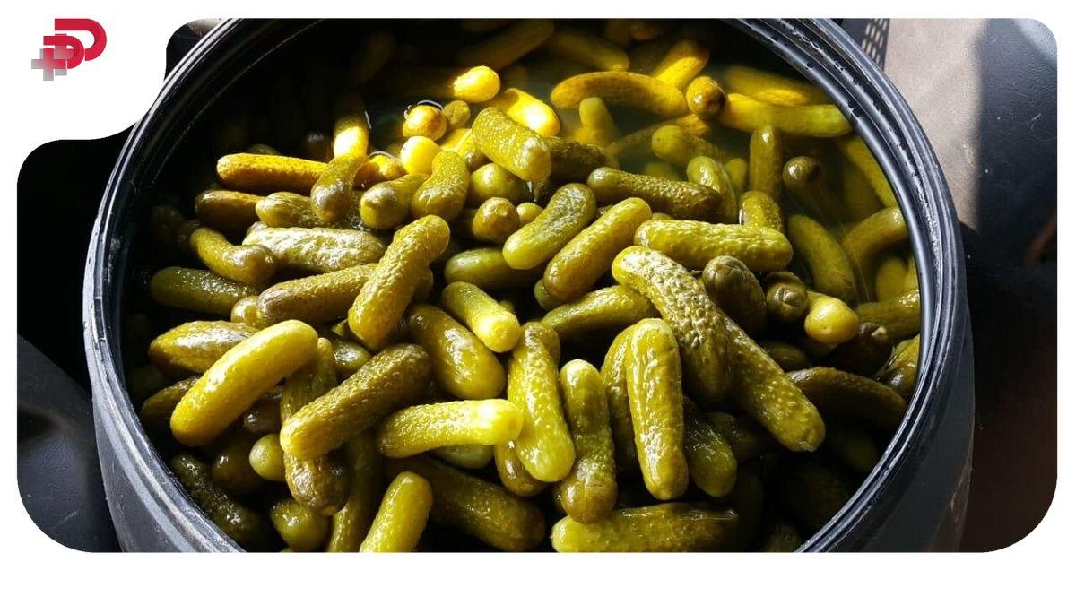 خیارشور