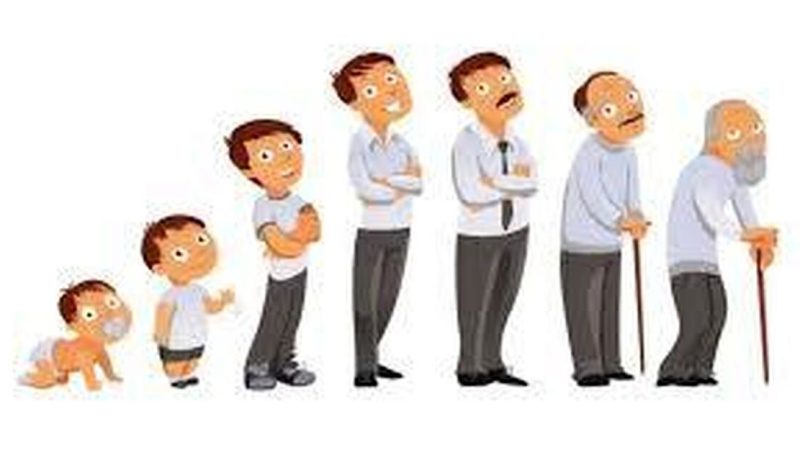 افزایش سن قد ما واقعاً کوتاه میکند؟