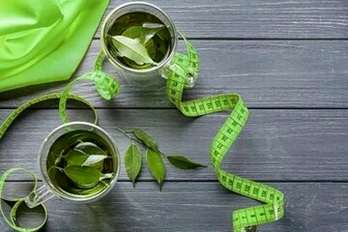 چای سبز بالاخره لاغری می‌کند یا نه؟ - تصویر شاخص
