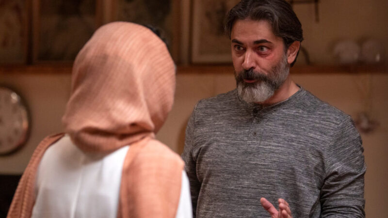شغل جدید پارسا پیروزفر؛ آقای بازیگر به دنبال «خانم شین» است