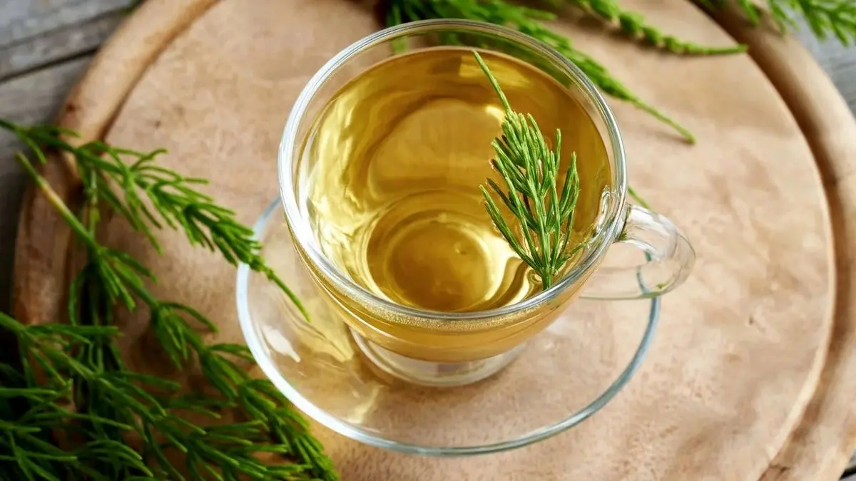 ۷ فایده شگفت انگیز گیاه دم اسبی را بدانید - تصویر شاخص