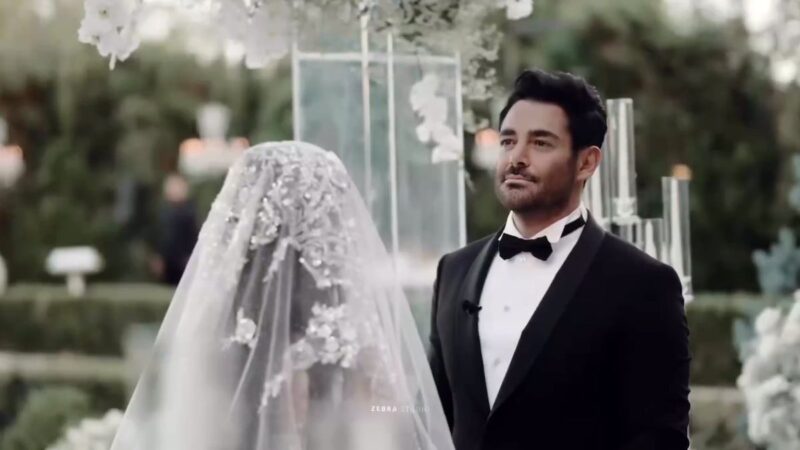 عکس| جشن تولد شاهانه محمدرضا گلزار ؛ آیسان خانم برای شوهرش سنگ تموم گذاشت