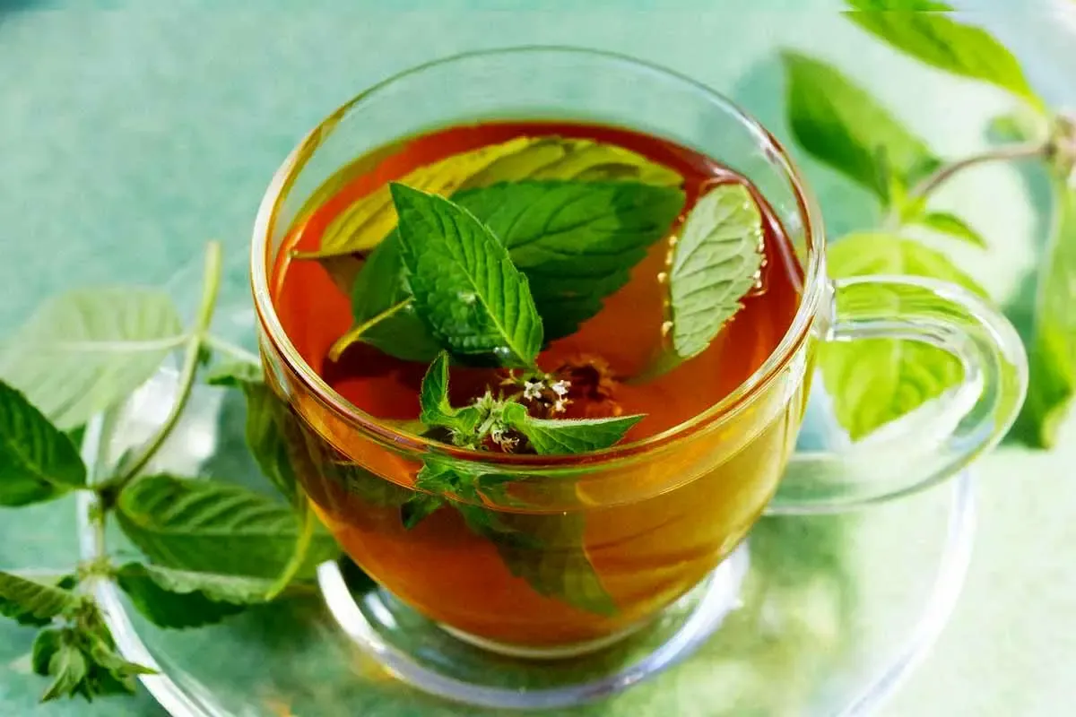 ۷ نوشیدنی گیاهی موثر و کاربردی برای آلودگی هوا1