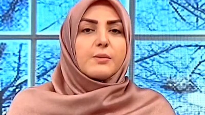 المیرا شریفیمقدم در اولین فرصت پاسخ معاون اجرایی رئیس جمهور را داد