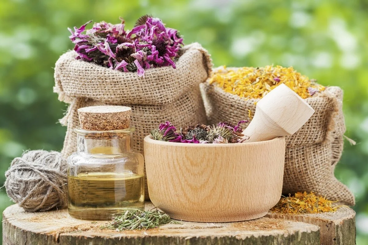 جلوگیری از ریزش مو با این ۷ داروی گیاهی