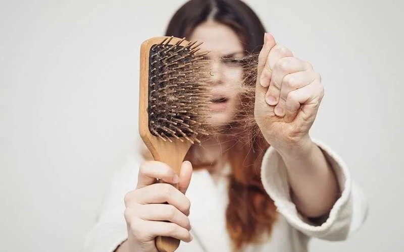 جلوگیری از ریزش مو با این ۷ داروی گیاهی - تصویر شاخص