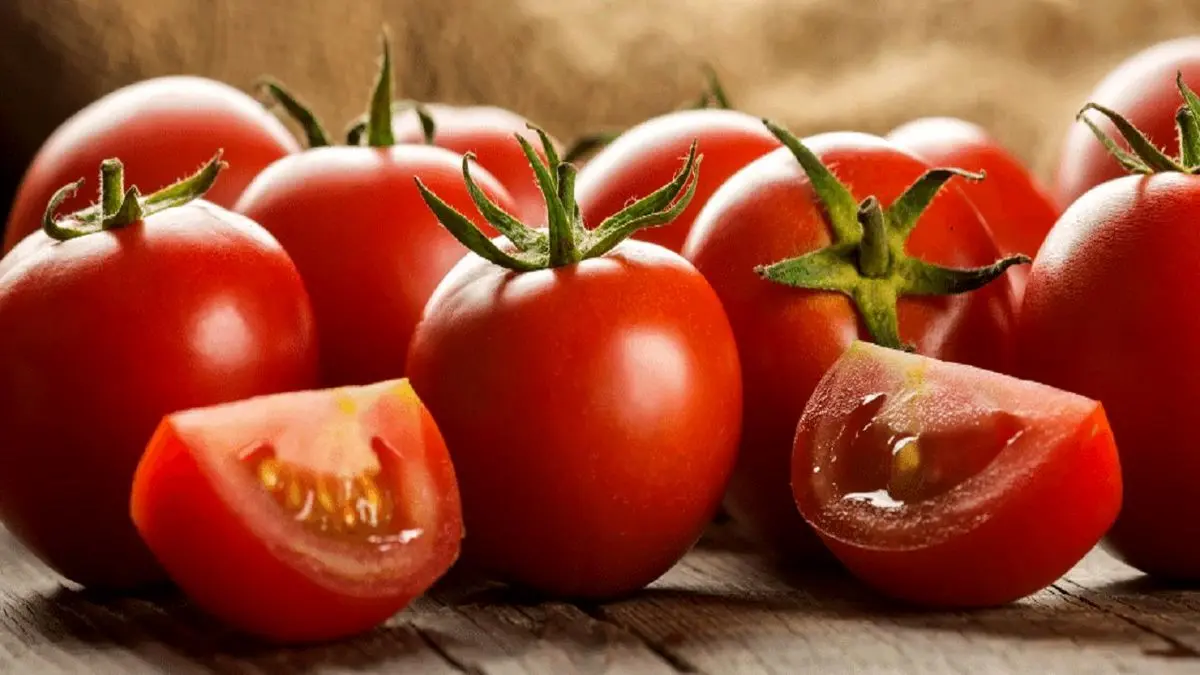 بررسی فواید و مضرات گوجه فرنگی در طب سنتی - تصویر شاخص