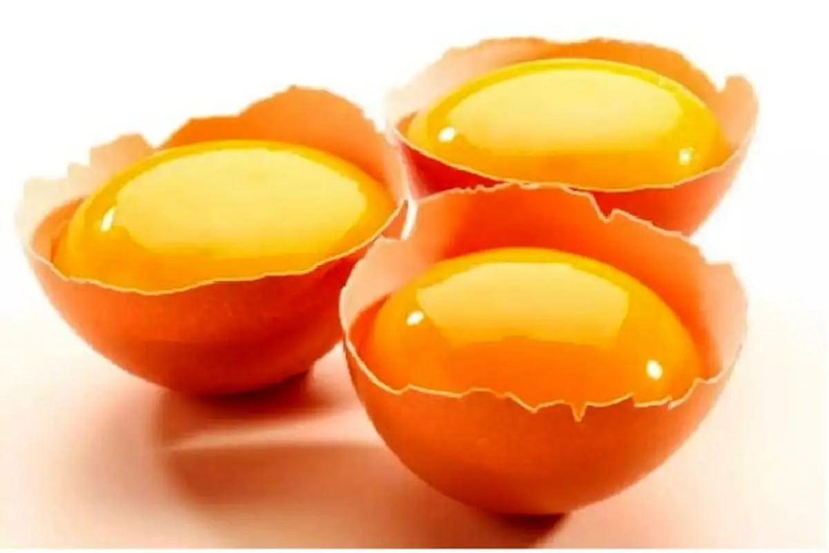 فواید تخم مرغ برای پوست و مو را بدانید - تصویر شاخص