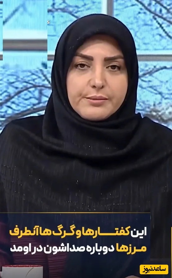 المیرا شریفی مقدم علیه دخالت‌های آن‌طرف آبی‌ها: «بیخود نکنید، به ما ربطی ندارد!» - تصویر شاخص