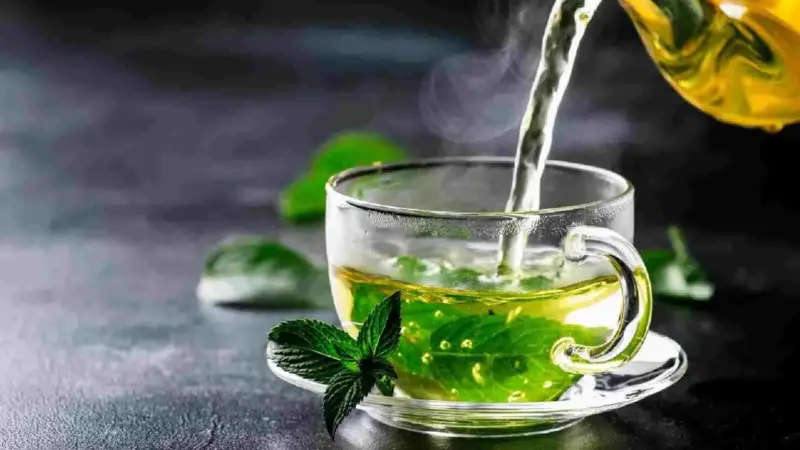 خواص چای سبز؛ مراقب شما در برابر ویروس ها