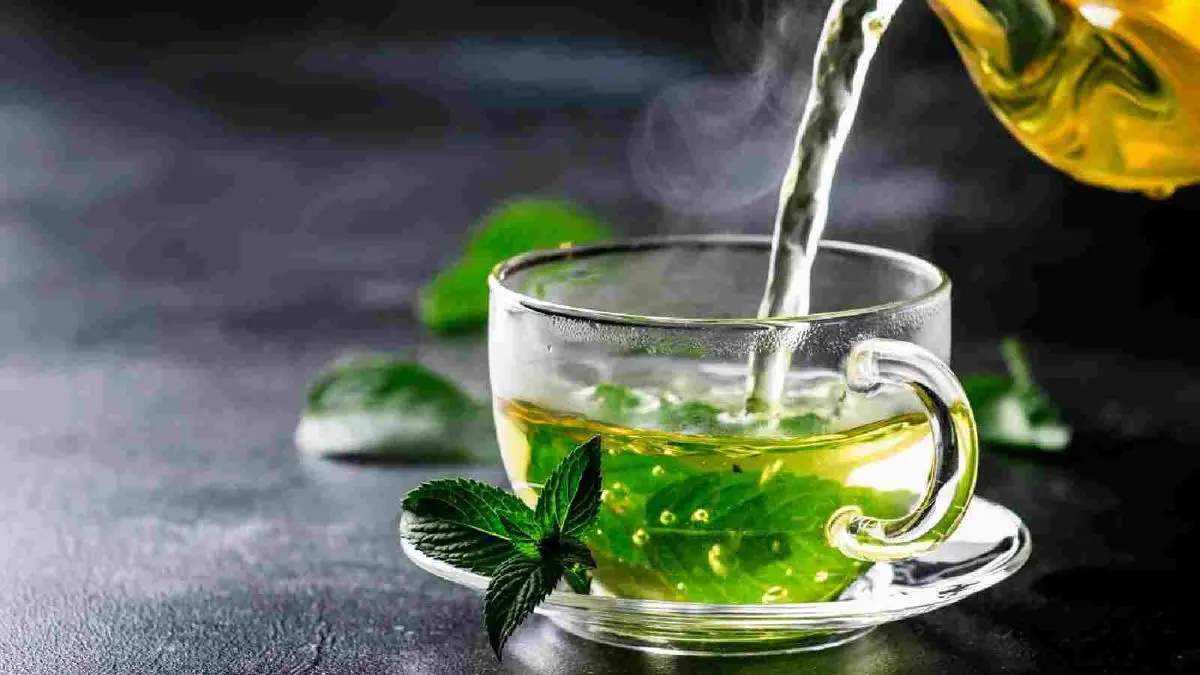 خواص چای سبز؛ مراقب شما در برابر ویروس ها - تصویر شاخص