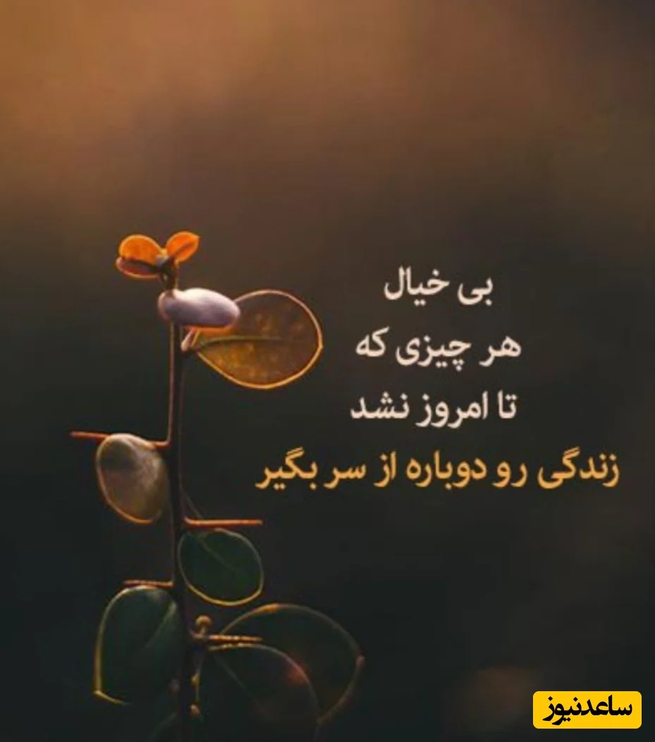 پیام امروز کائنات: وقتی آخر خط می‌رسی، کاش قدر روزهای ساده را می‌دانستی! - تصویر شاخص