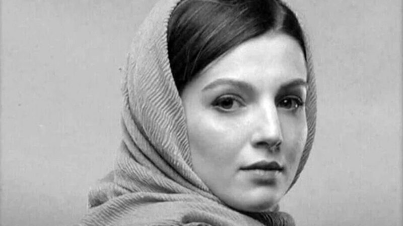واکنش تند مریم مومن و مهسا حجازی به جهش بیسابقه دلار در ۱۴۰۴