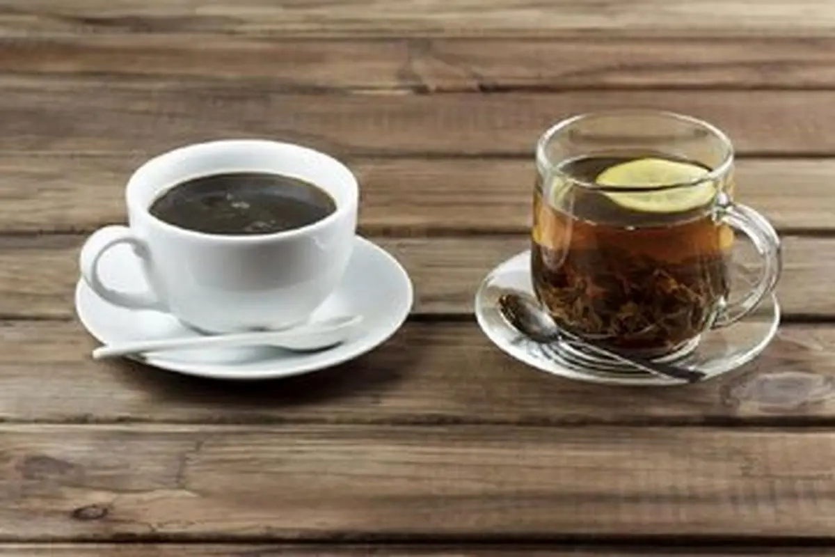 چای یا قهوه؛ کدام برای سلامت استخوان مفید است؟ - تصویر شاخص