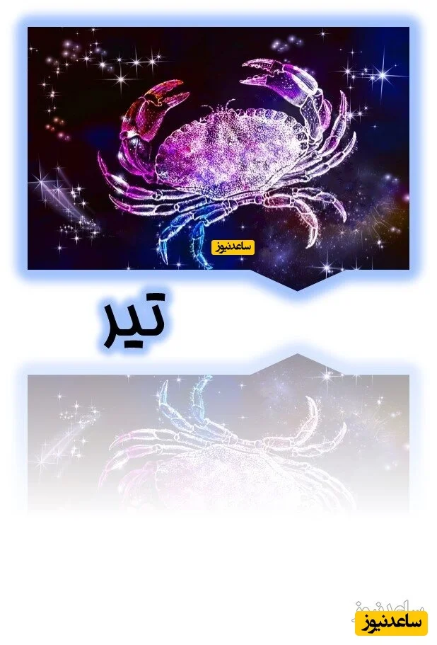 تیر