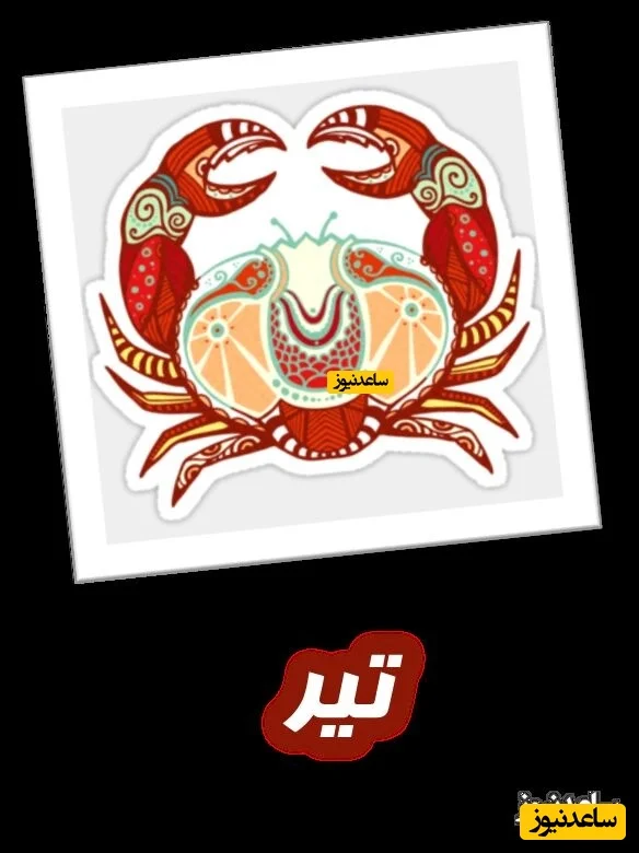 تیر