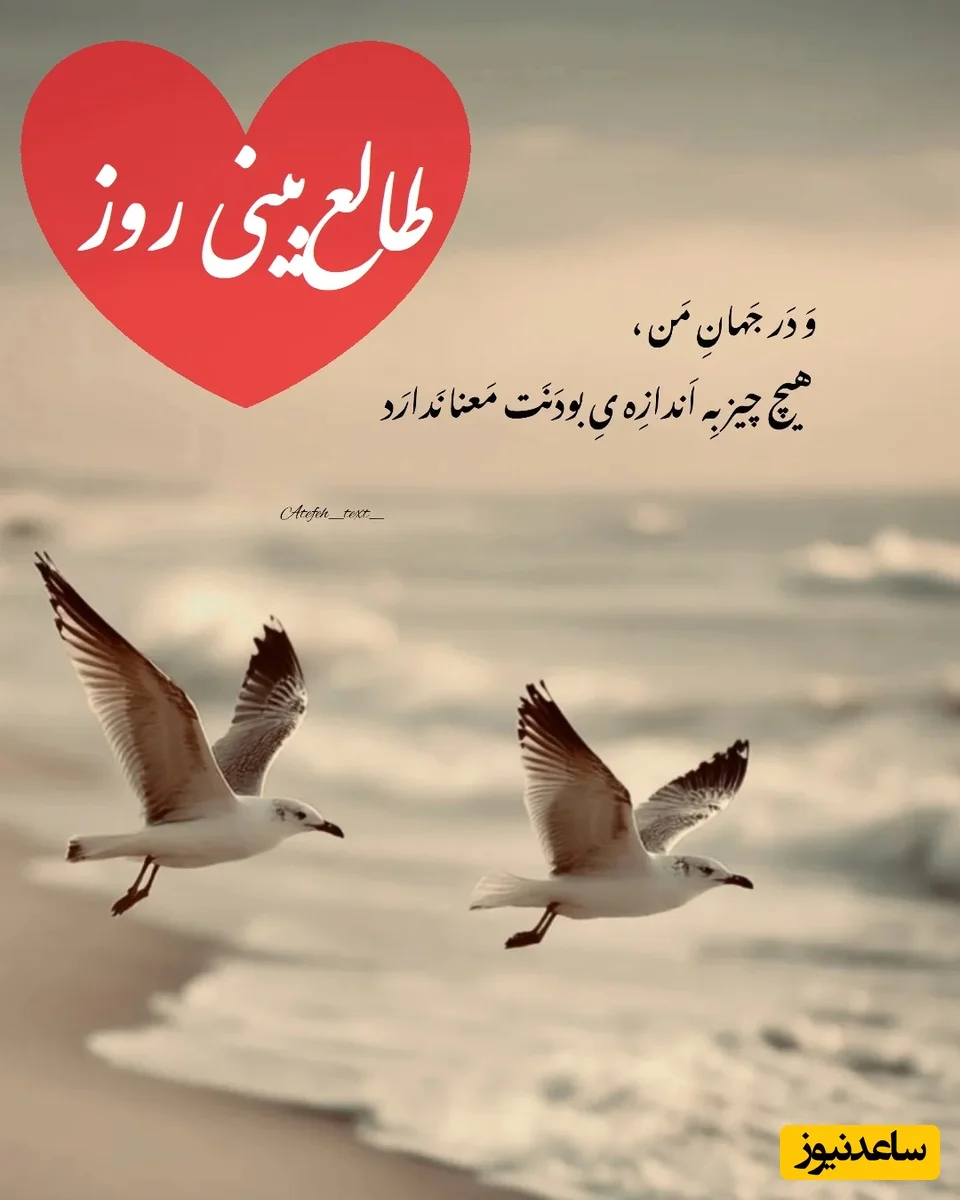 طالع‌بینی امروز 11 دی؛ وقتی دلت بی‌قراره اما سکوت می‌کنی، قلبت چه رازی دارد؟ - تصویر شاخص