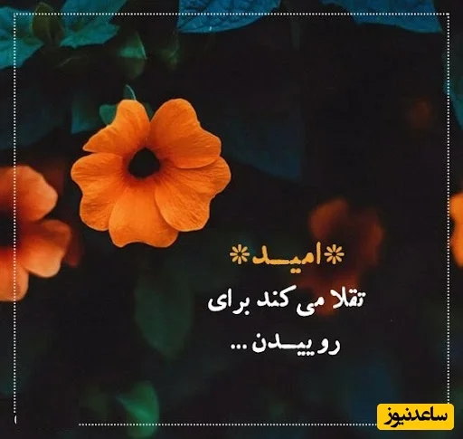 کائنات امروز چه پیامی برایت دارد؟ تجربه احساسات بدون قضاوت و رشد شگفت‌انگیز در لحظات زندگی - تصویر شاخص