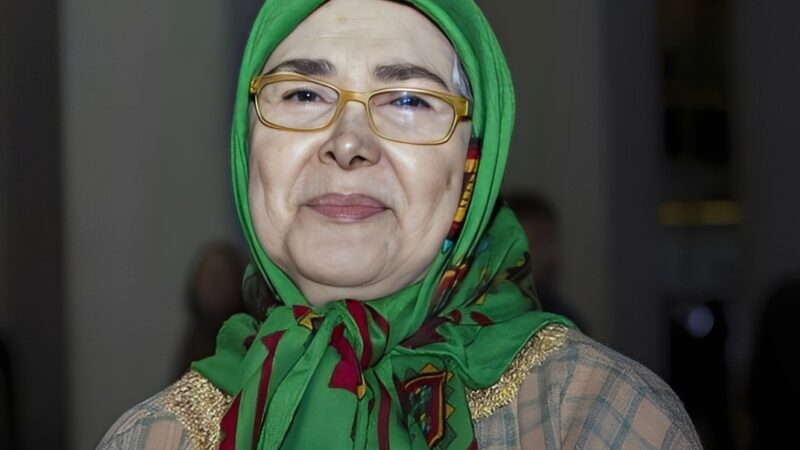 بیوگرافی آفرین عبیسی( بازیگر قبل از انقلاب) از گذشته تا امروز؛ رازهای زندگی و عکسهای قبل و بعد از عمل هنرمند محبوب سینما+ عکس کودکی