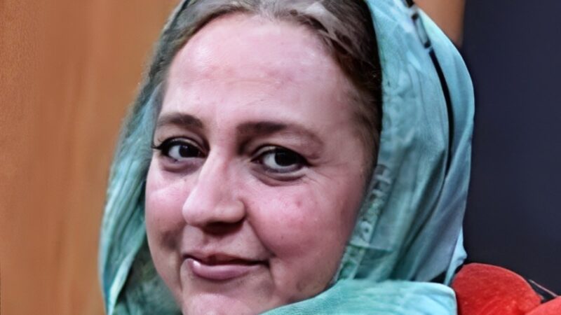 عکس دیده‌نشده جوانی مهناز افضلی پیش از ازدواج با حسن پورشیرازی؛ بیوگرافی و زندگی خصوصی و رازهای هنری او