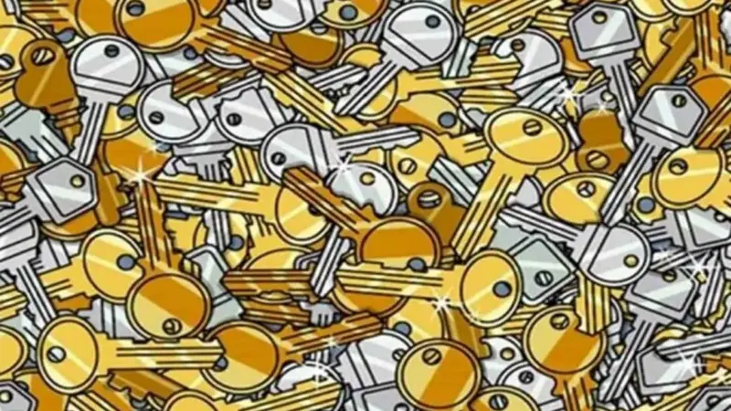 چالش دیدنی: آیا میتوانید چهار کلید قدیمی را در میان انبوه کلیدهای مدرن پیدا کنید؟
