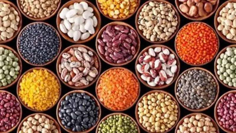 این غذاهای فیبردار و بدون کلسترول، راز سلامتی شماست!
