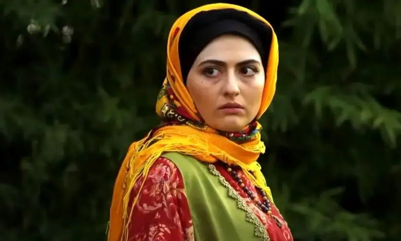 بیوگرافی و حواشی زندگی پریسا دوستی و همسرش / انیس سریال سوجان را بیشتر بشناسید