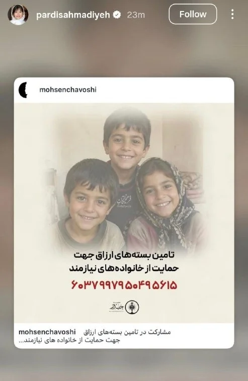 محسن چاوشی