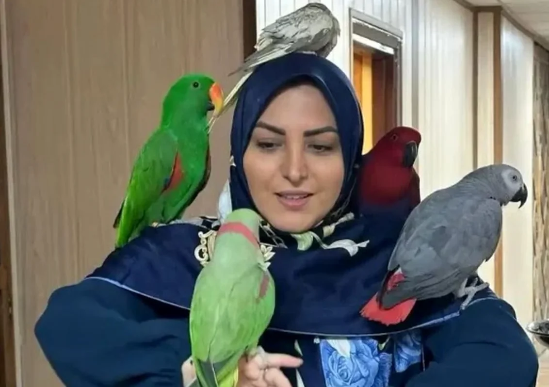 عکس| سفر در زمان؛ «المیرا شریفی مقدم» 8 ساله در مدرسۀ ابتدایی/ خانم مجری از کودگی زیبا بود - تصویر شاخص